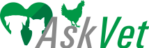 AskVet - Logo